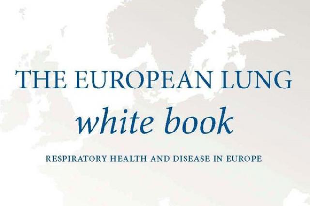 European Lung White Book - Publication Preview Image