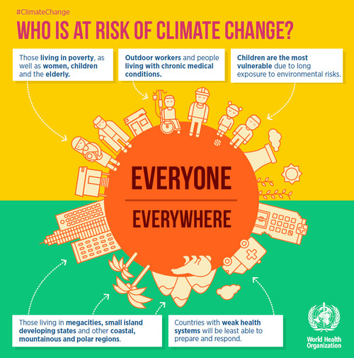 Support the new Marrakesh Declaration for Health, Environment and Climate Change - article image