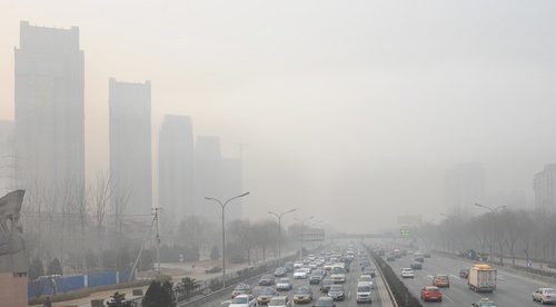 Hypersensitivity pneumonitis in urban cities linked to levels of ambient air pollution - preview image