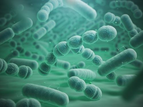 Pneumonia-causing bacteria can be spread by nose picking and rubbing - preview image