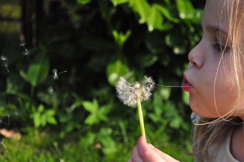 Green space near home during childhood is linked to fewer respiratory problems in adulthood - article image