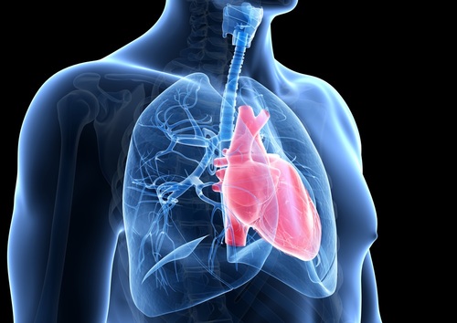 ERS 2018 highlight: Pulmonary vascular diseases - article image