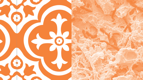 Registration is open for the ERS Lung Science Conference 2019 - article image