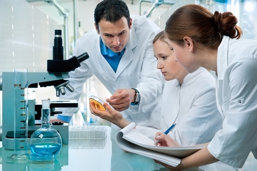 Apply now for an ERS Long-Term Research Fellowship 2018 - article image
