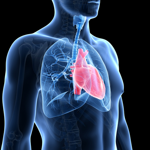 Upfront combination therapy may reduce RV volumes in PAH patients - article image