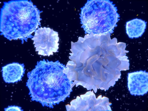 RESPIRE2 fellow finds CD103+ dendritic cells may help to limit allergic airway inflammation - article image