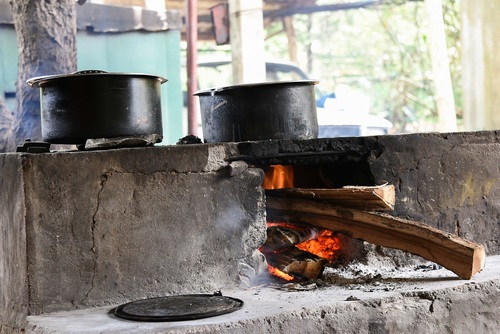 Exposure to firewood fumes associated with increased risk of chronic cough - article image