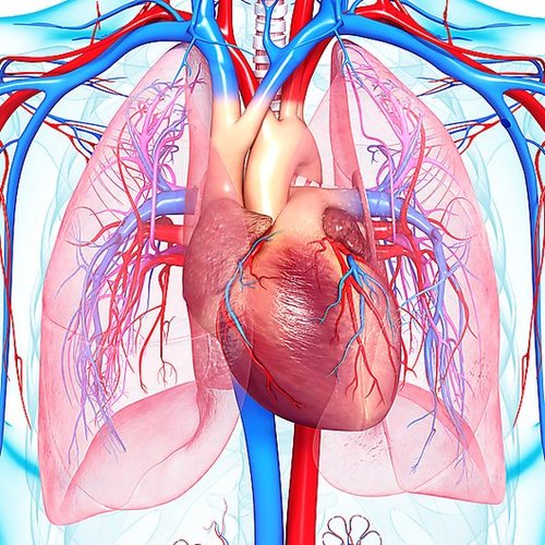 World Pulmonary Hypertension Day 2017: access our resources - article image
