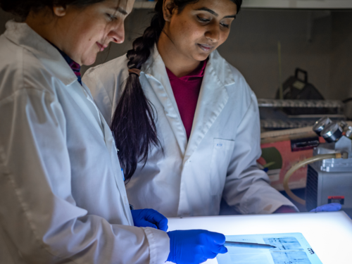 Submit a proposal for Clinical Research Collaboration funding - article image