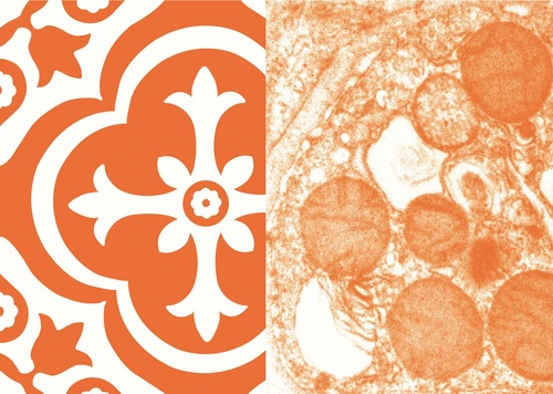 Lung Science Conference 2020: Registration is now open - article image