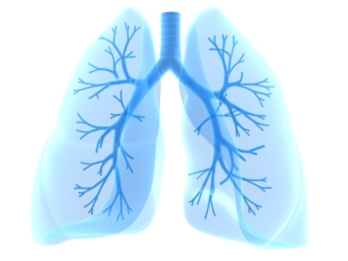 Interstitial Lung Diseases - preview image