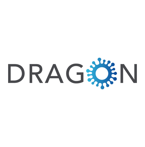 DRAGON - Preview Image