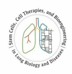 Stem Cells, Cell Therapies, and Bioengineering in Lung Biology and Diseases Conference - preview image