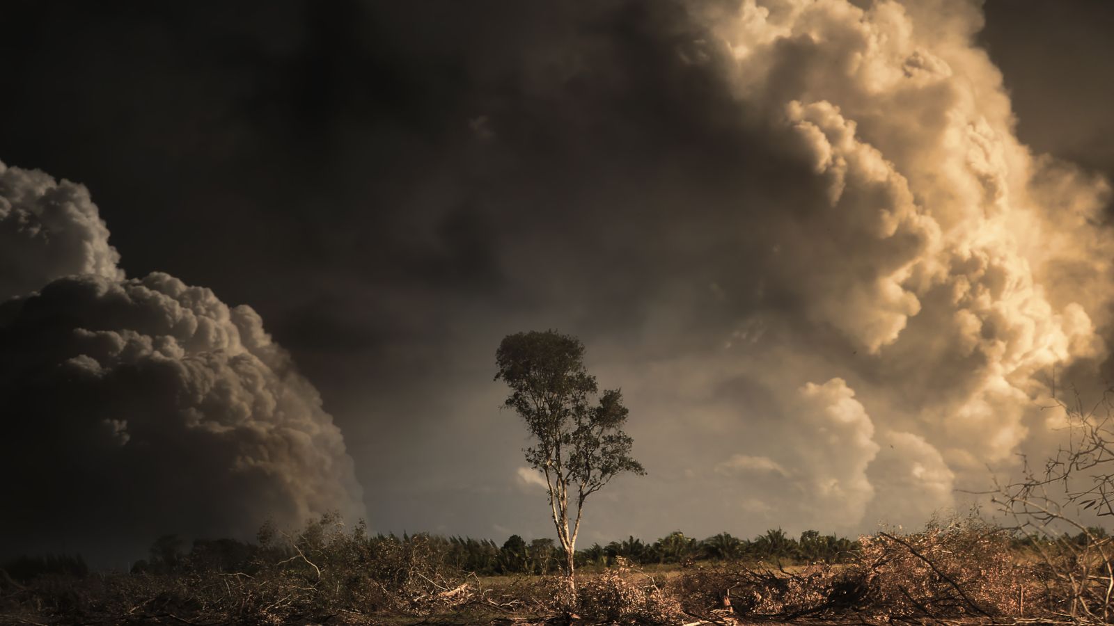 Canada wildfires: ERS and ISEE call for immediate action to curb the health impact of climate change - article image