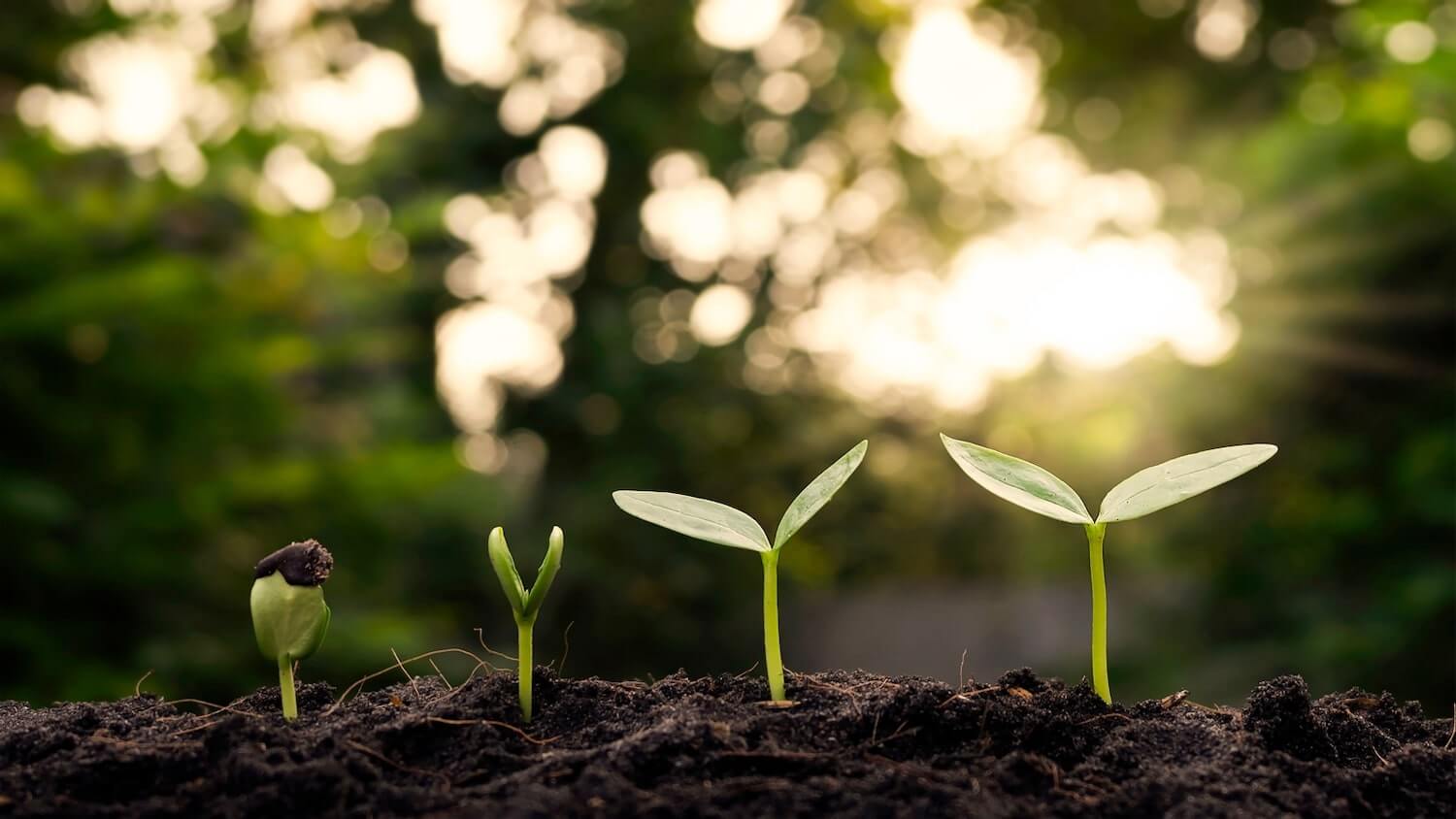 ERS awarded ‘Engaged for Impact’ label by international climate protection foundation - article image