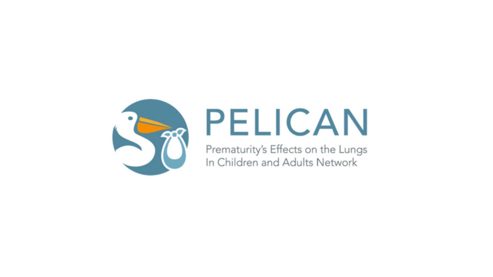 Introducing PELICAN: A new resource for understanding lung function trajectories in survivors of preterm birth - Preview Image