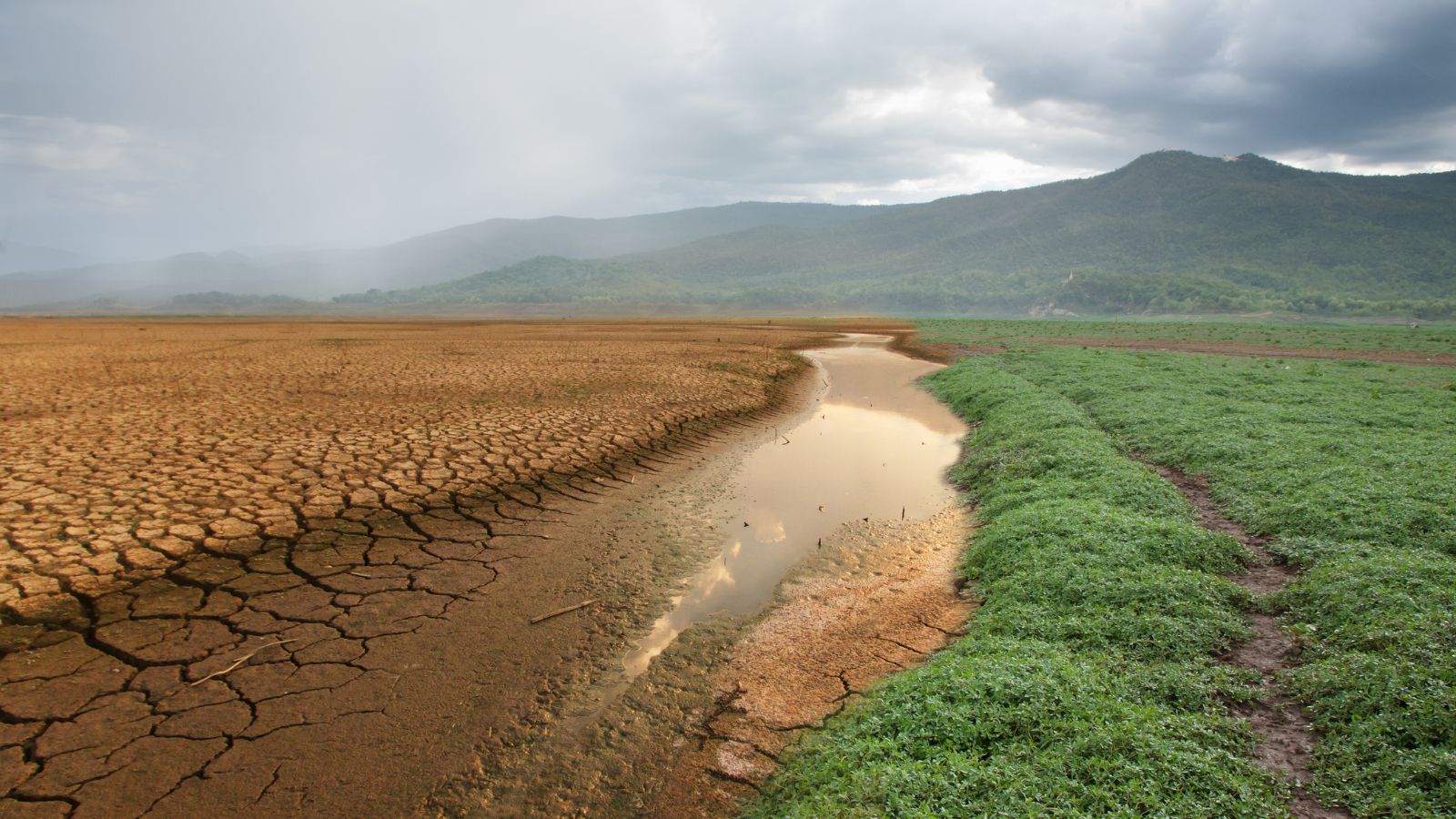 Panel discussion – Climate change and respiratory health - preview image