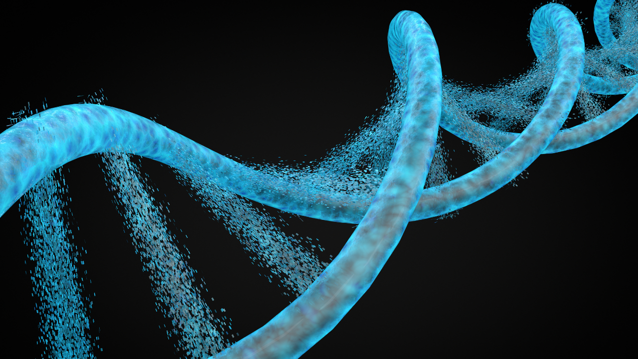 Genetic evidence shows that smoking can cause us to age faster - article image