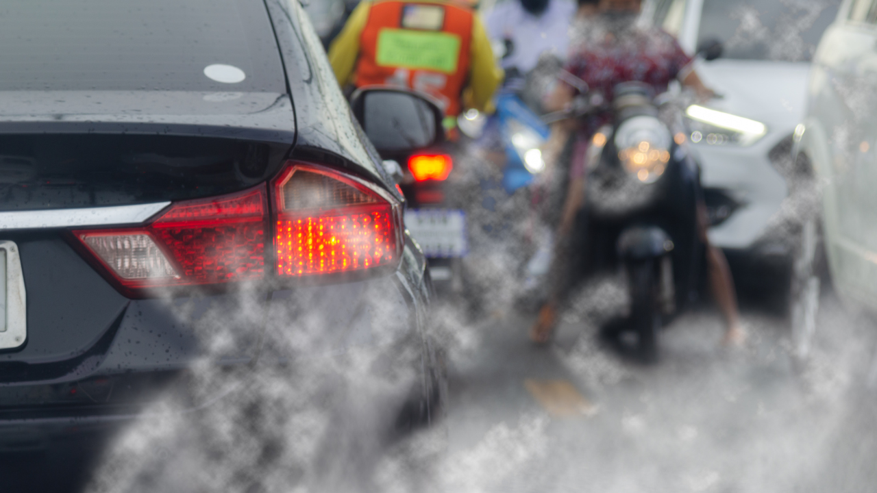 Exposure to air pollution while in the womb is linked to adverse changes in cell processes in new-born babies - article image