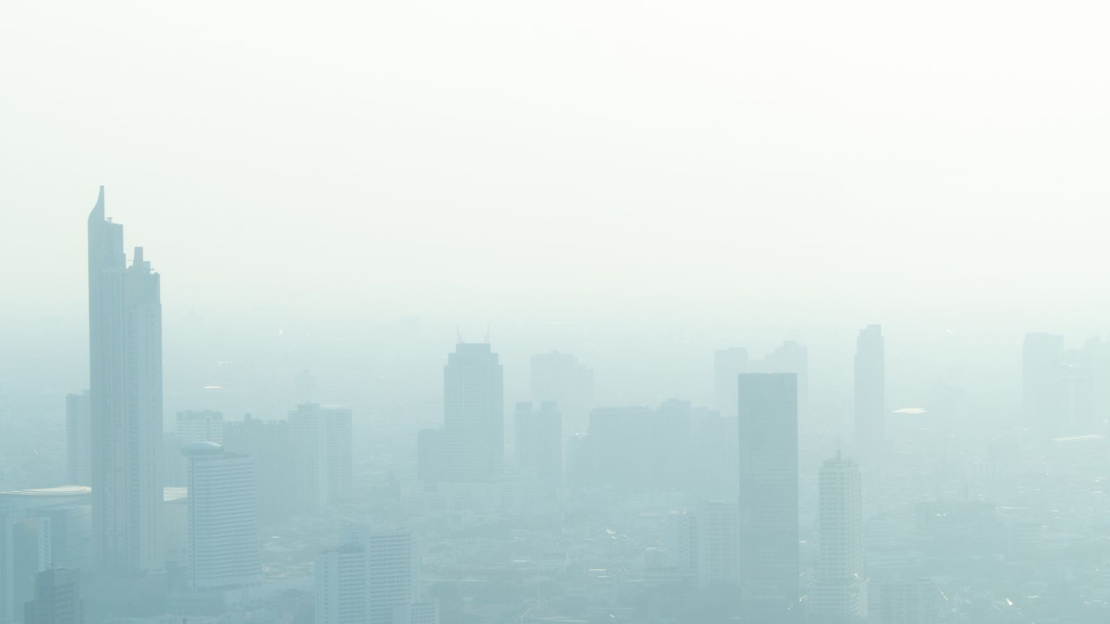 EU Ambient Air Quality Directive: ERS and partners call for clean air to prevent disease and save lives - article image