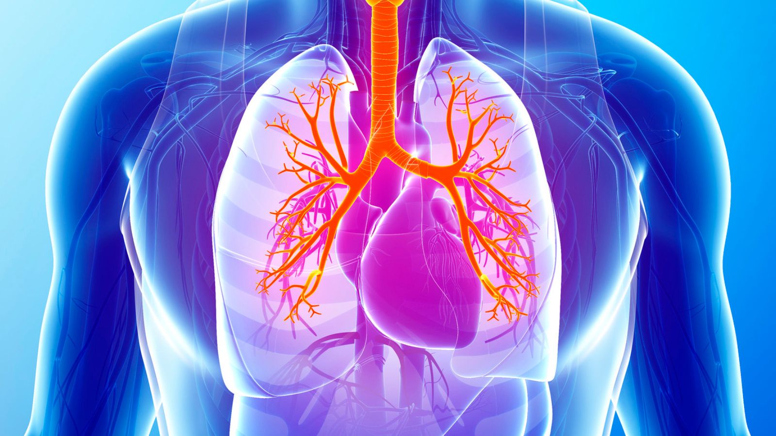 Interstitial Lung Diseases - preview image