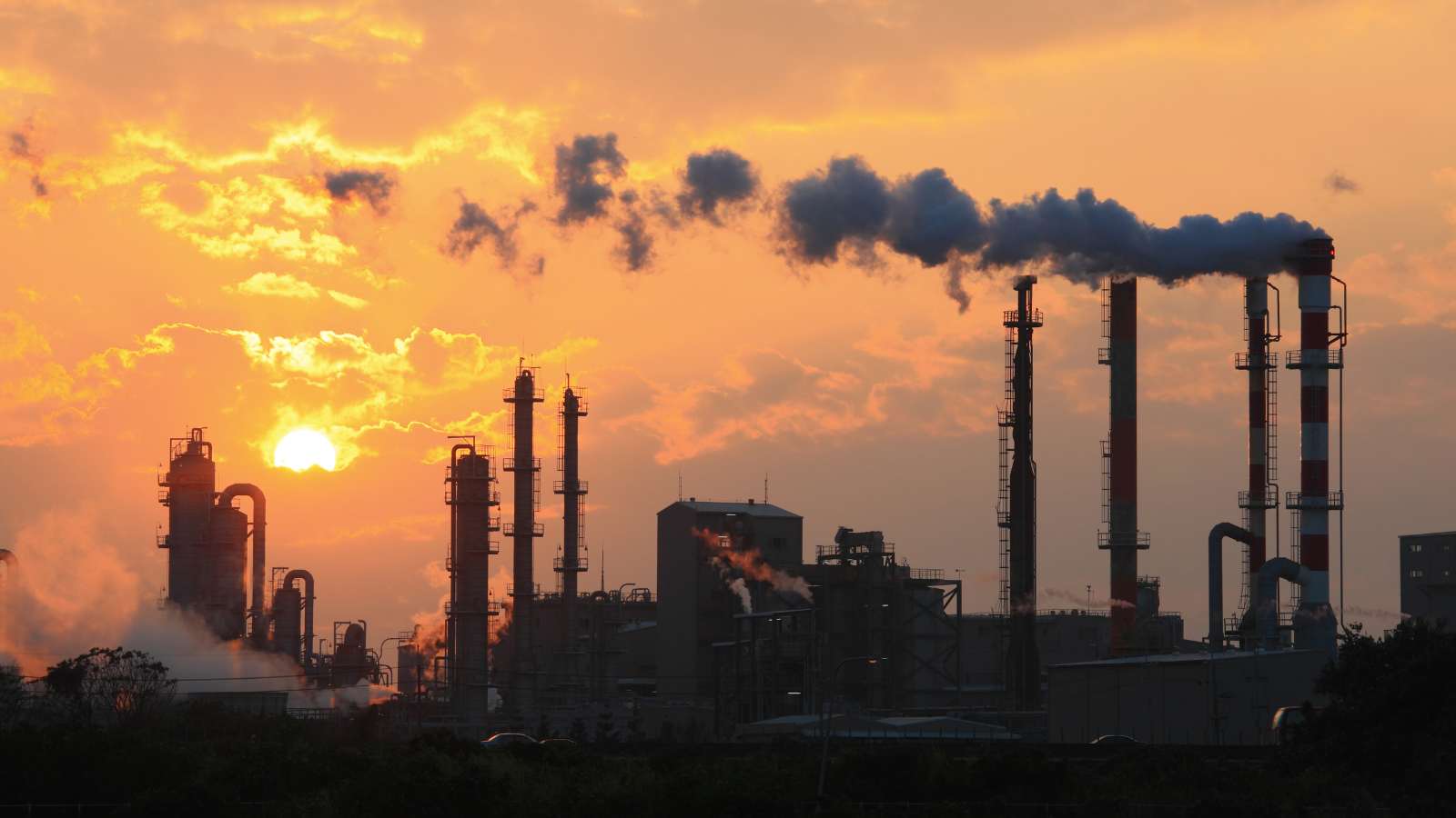 ERS experts join call for rapid action on clean air in Europe - article image