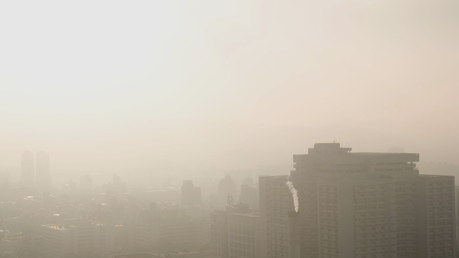 State of Global Air Report 2024 underlines the air quality emergency - article image