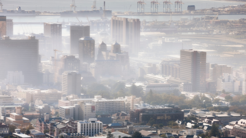 Long-term exposure to air pollution and a lack of green space increases the risk of hospitalisation for respiratory conditions - article image