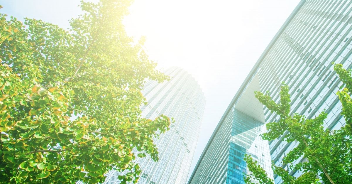 Revised Ambient Air Quality Directive published in the official journal of the EU - article image