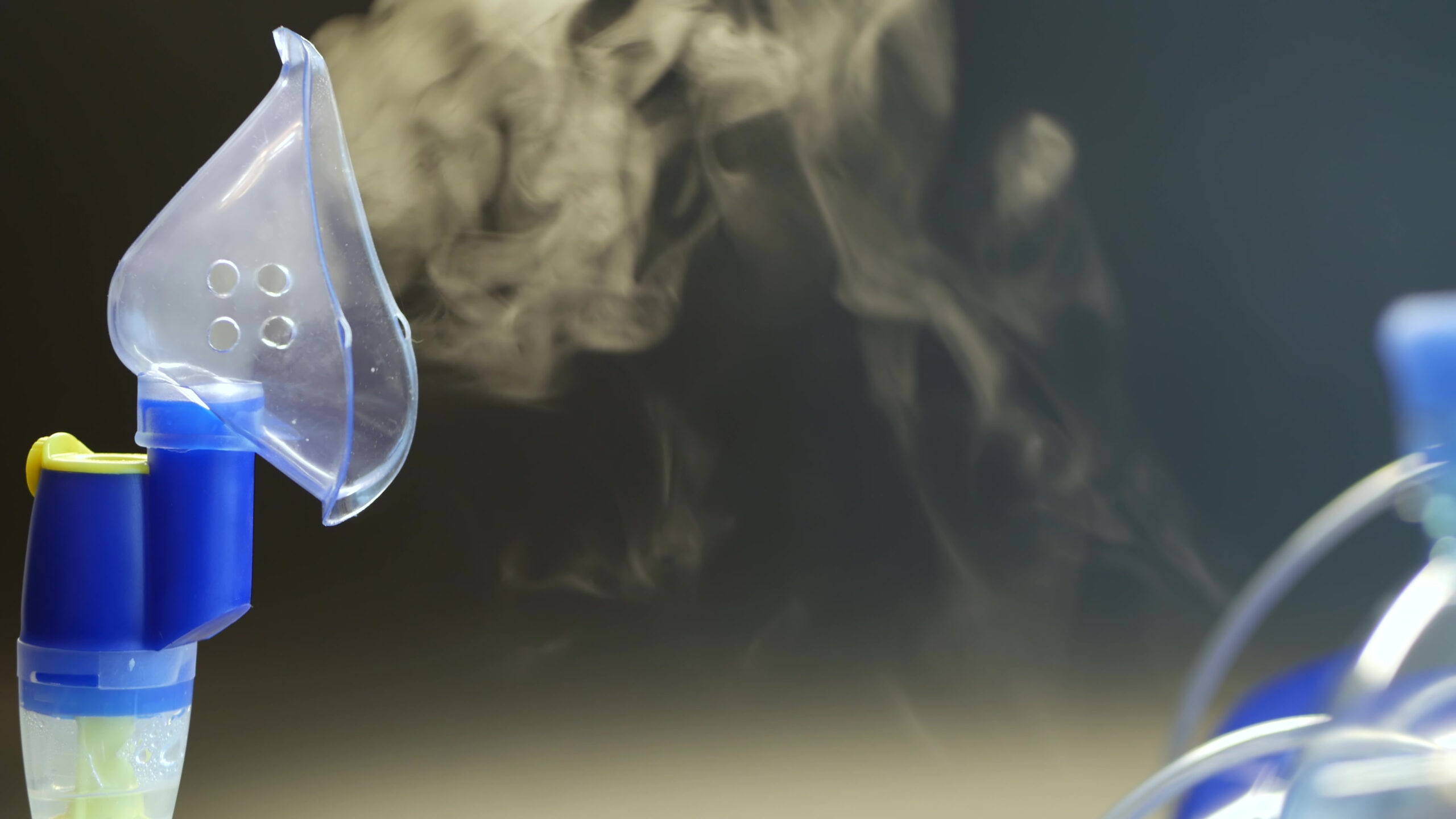 Virtual school of nebulisation of drugs for treatment of respiratory infections and disease - preview image