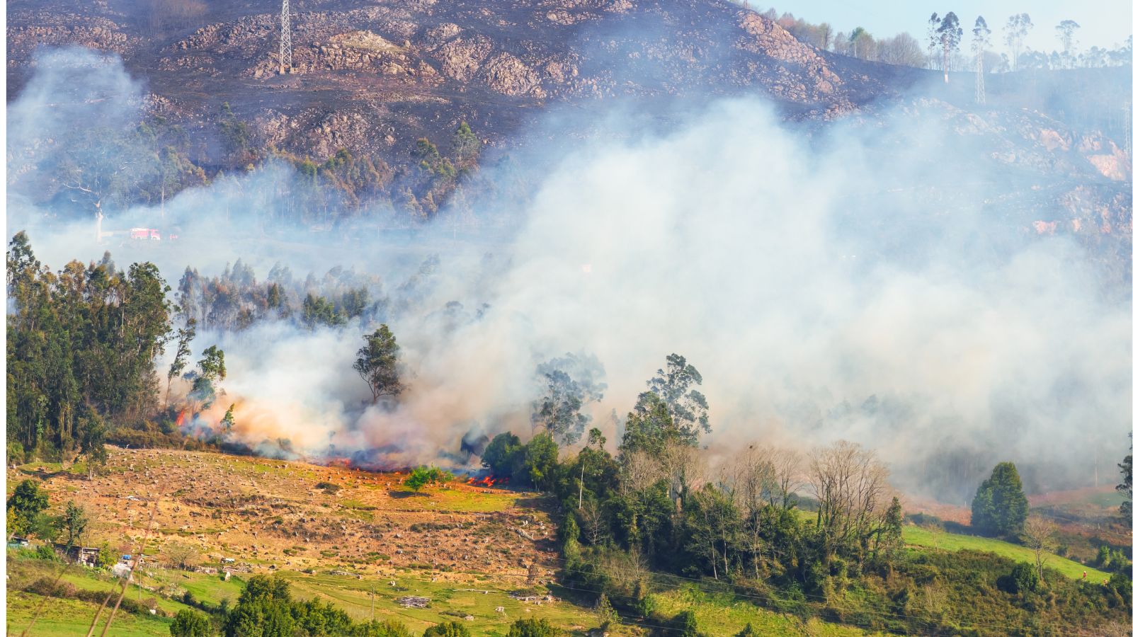 Natural disasters, climate change and their impact on respiratory health - Preview Image