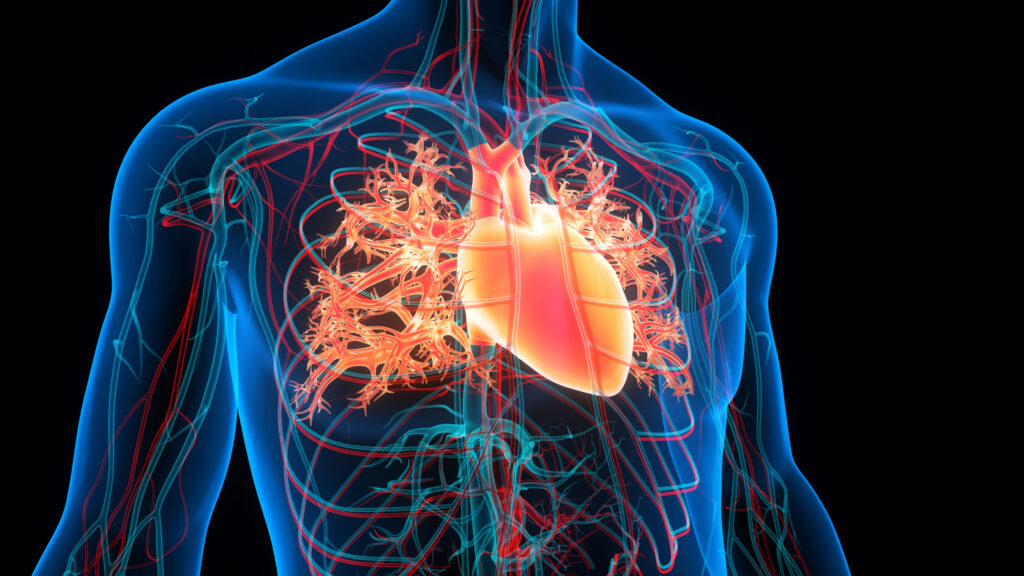 Academy of pulmonary hypertension - preview image