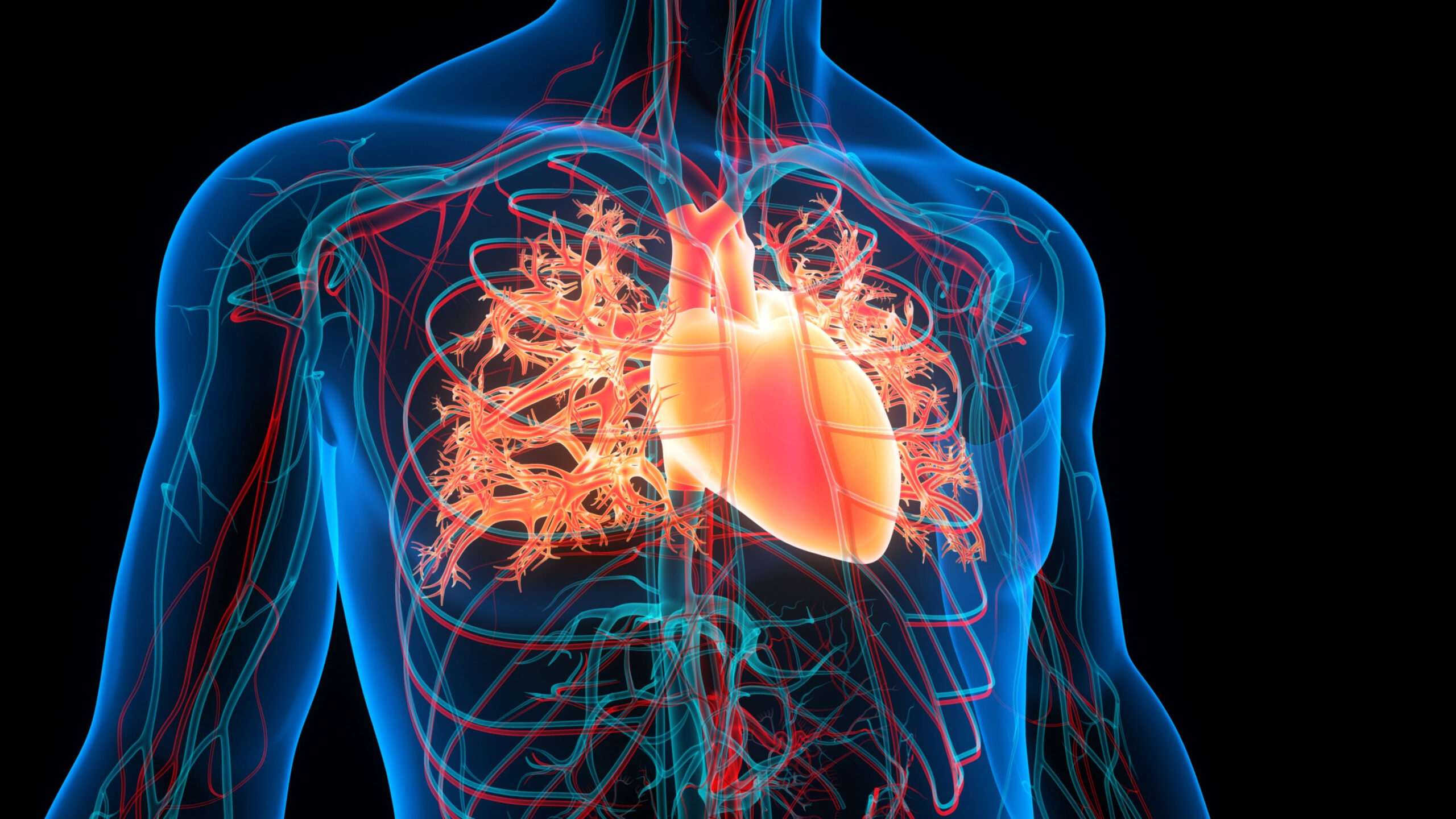 Academy of pulmonary hypertension - preview image