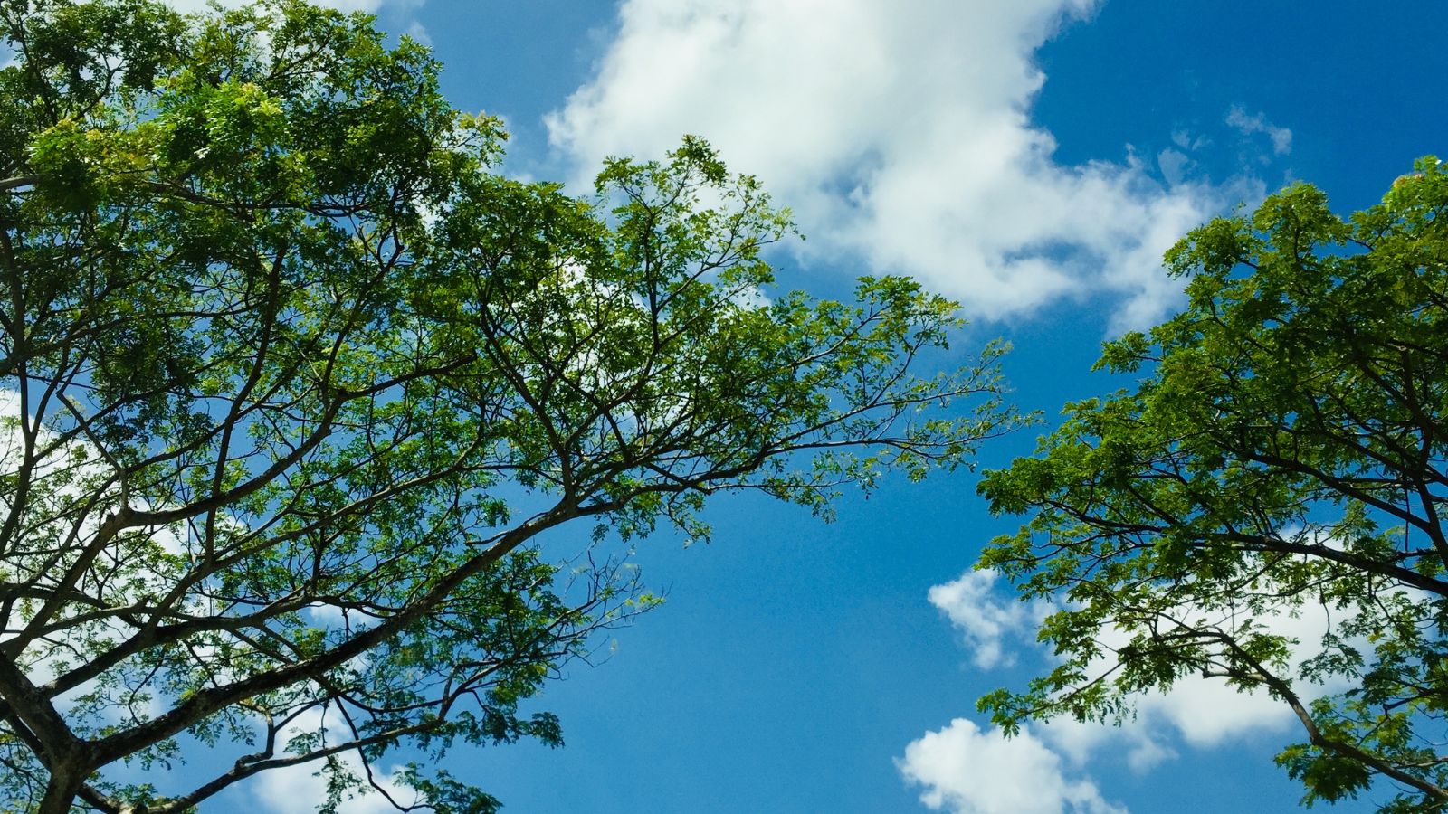 Sustainability initiatives at the ERS Congress 2025 - Preview Image