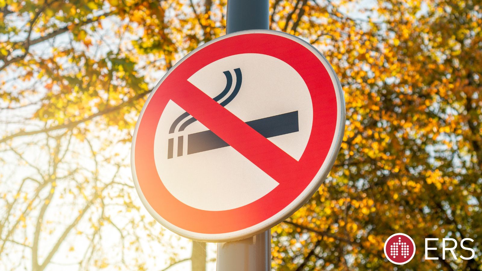 Virtual school on tobacco cessation - preview image
