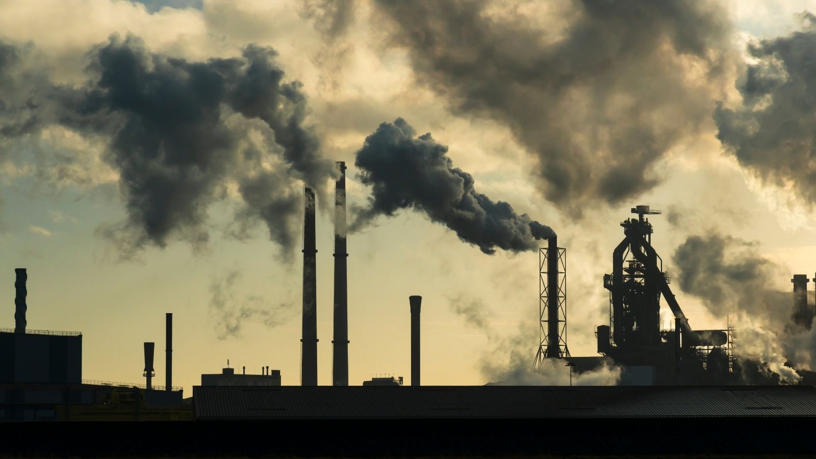 ERS expert: take bold air pollution action now to protect health - article image