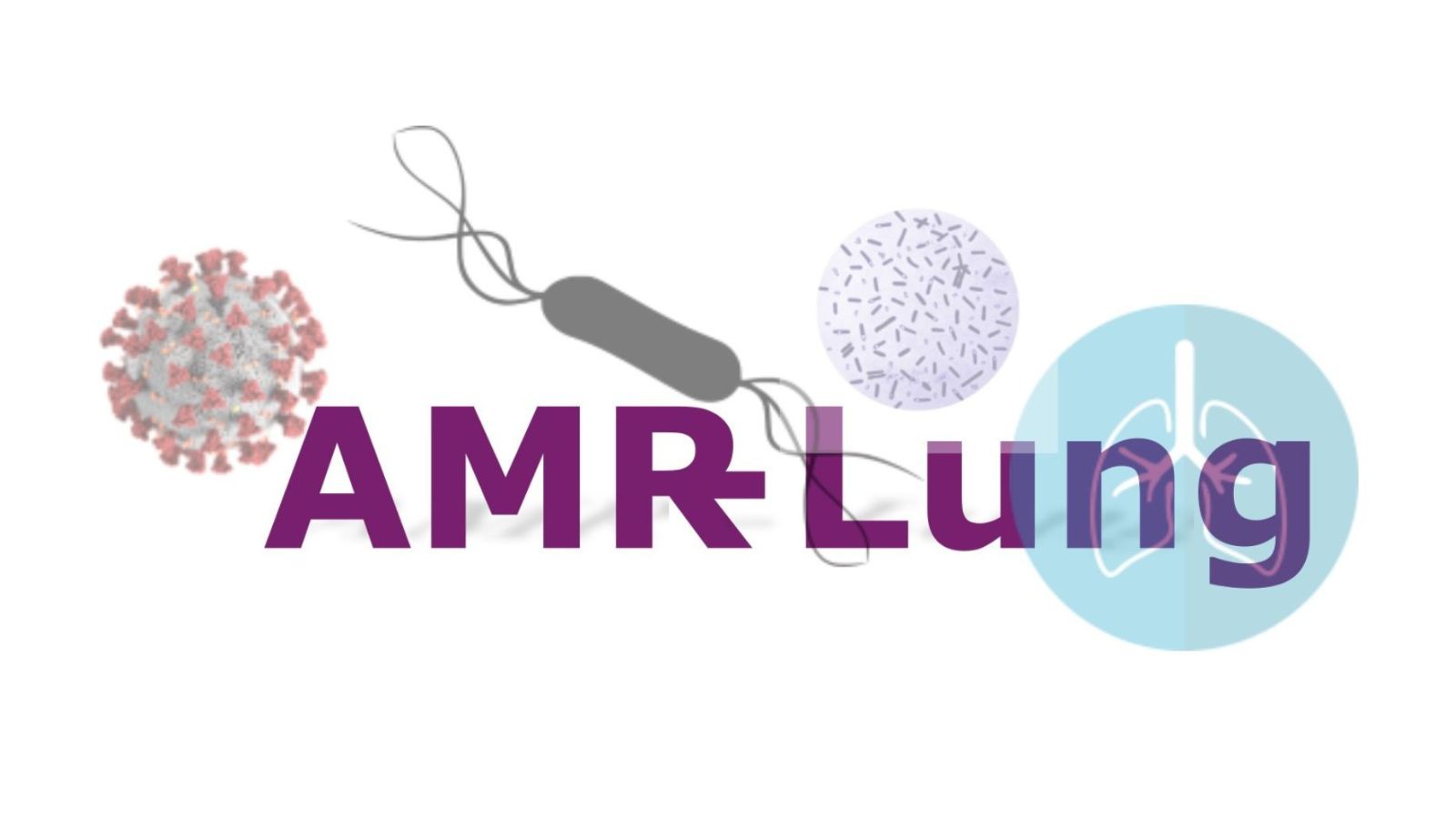 Global antimicrobial resistance burden in bronchiectasis and Cystic Fibrosis – An AMR-Lung study - Preview Image