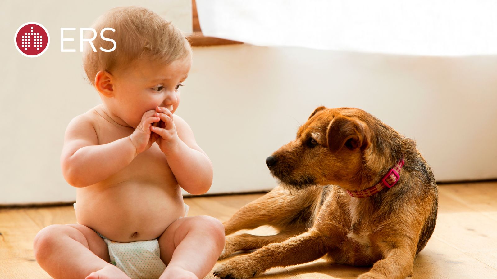 Babies who grow up around dogs may have a lower risk of developing childhood asthma; no protective effect found for living with cats - preview image