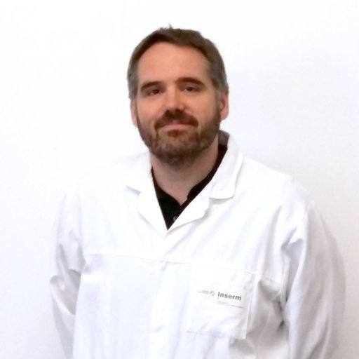 Arnaud Mailleux - Profile Image