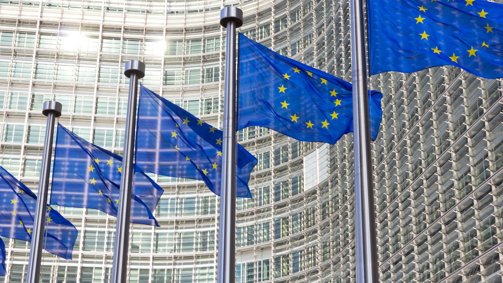 ERS and partner organisations urge EU Member States to endorse a strong Tobacco Taxation Directive to protect lung health - Preview Image