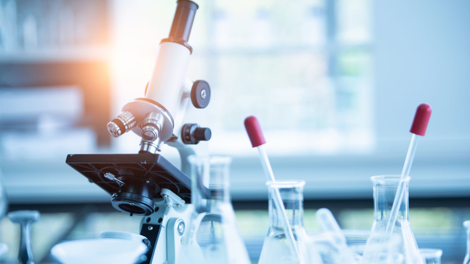 Mastering pleural medicine: a practical webinar series - Preview Image